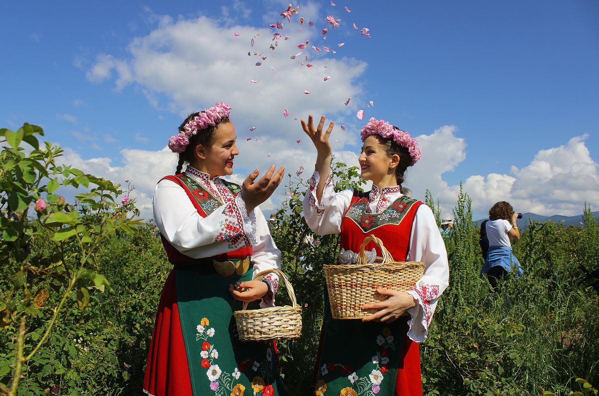 Доволни розоберачки