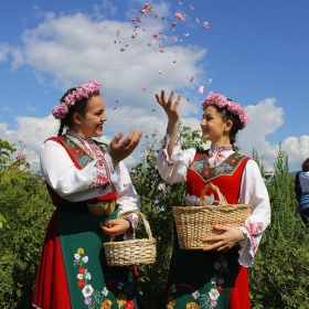 Доволни розоберачки