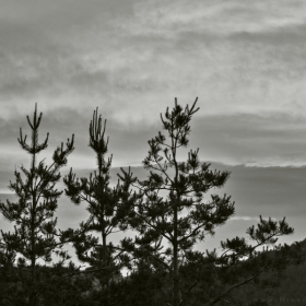 With the strength Of a new day dawning And the beautiful sun