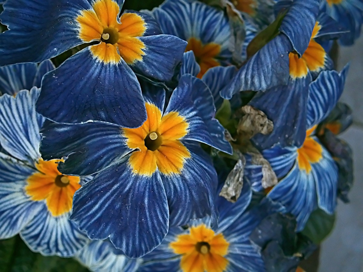 ***