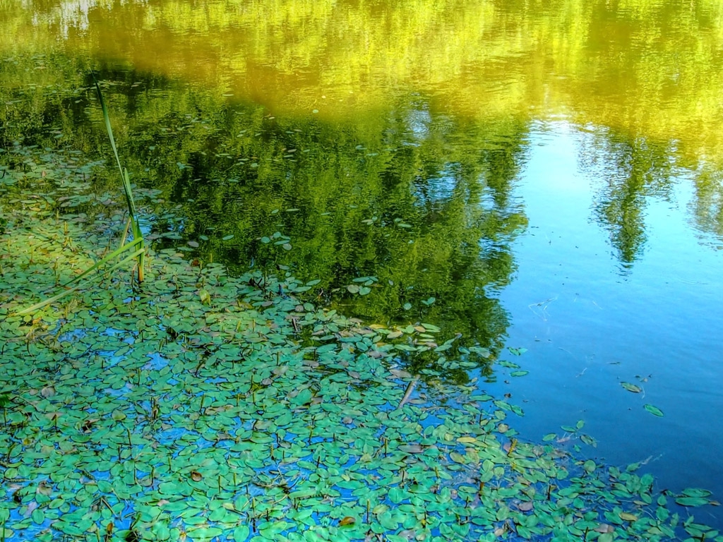Езерно