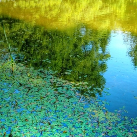 Езерно