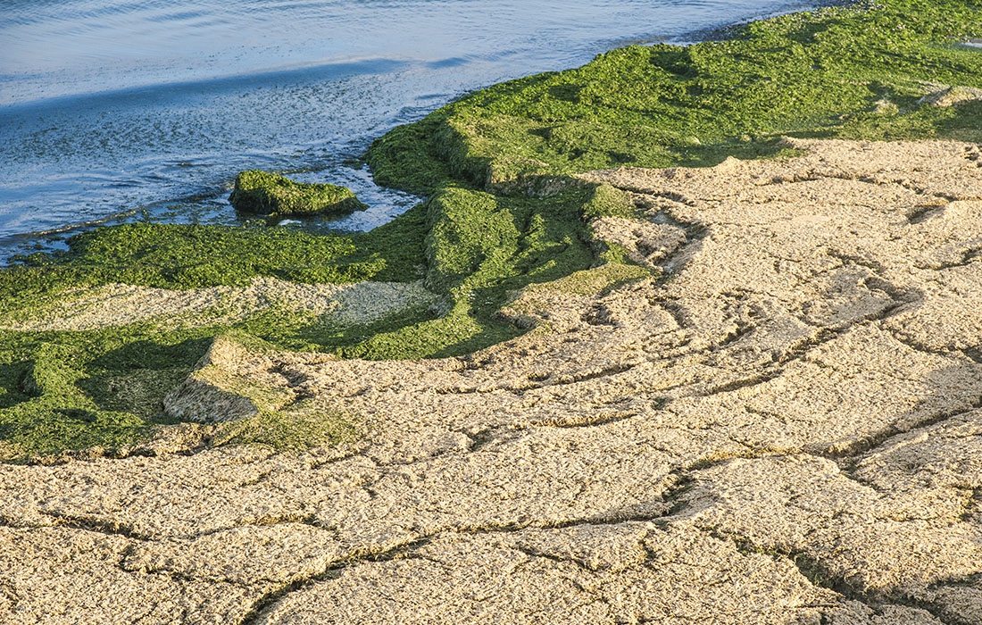 Морско ...