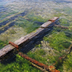 Цветът на морето