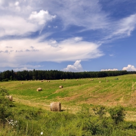 С мирис на сено