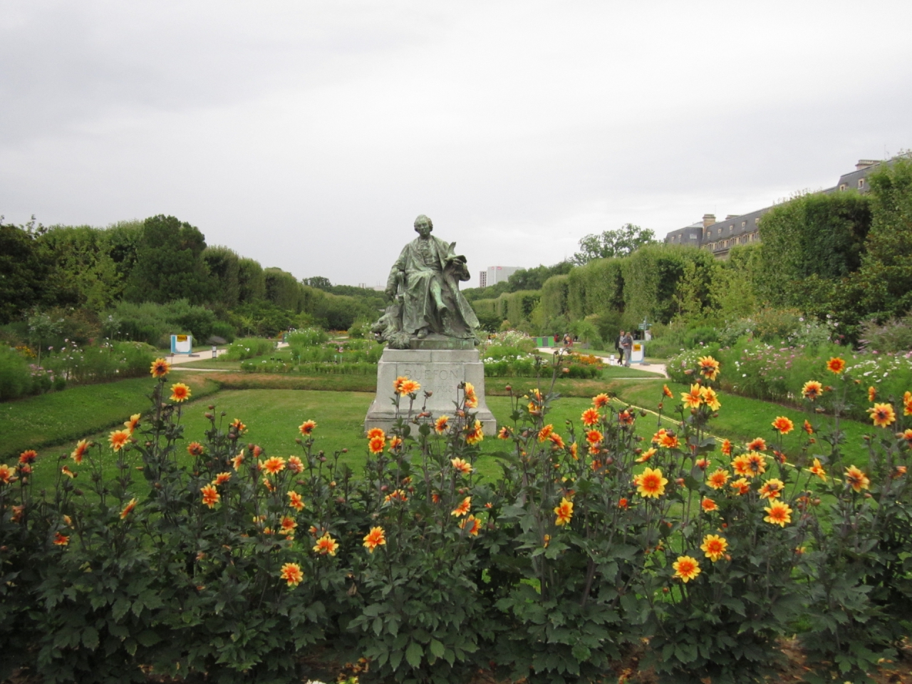 Jardin des plantes