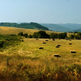 Планинска окосена ливада