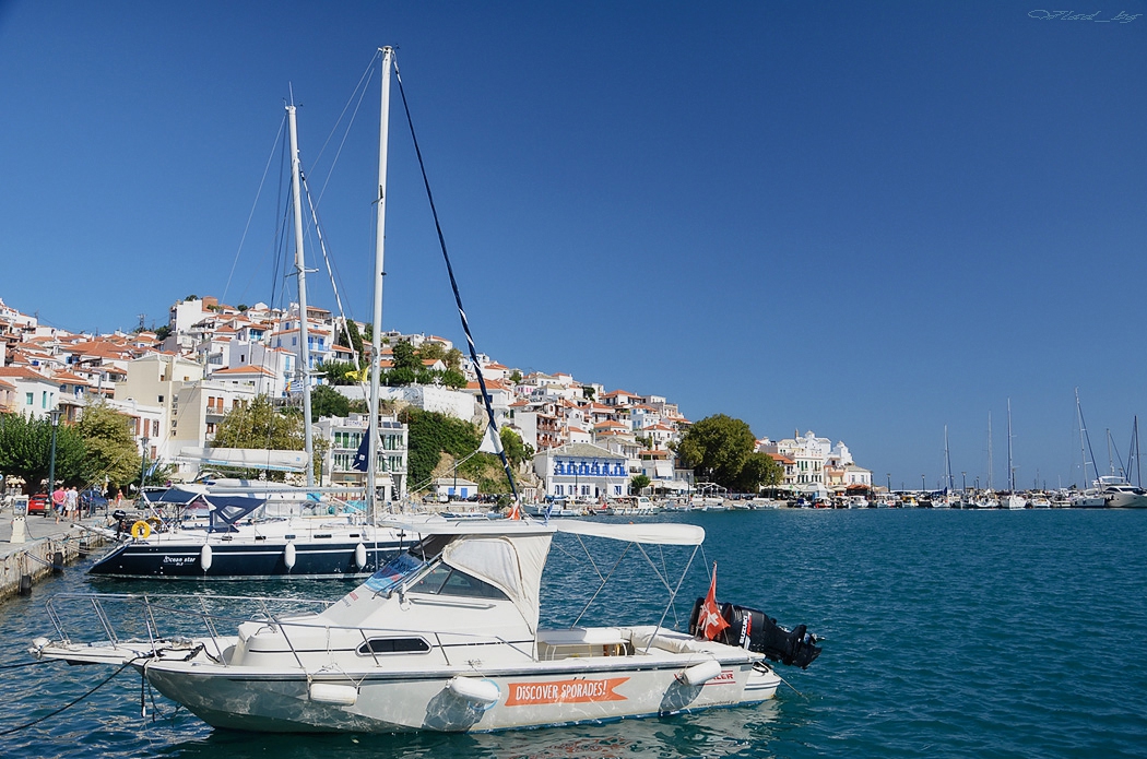 DISCOVER SPORADES!