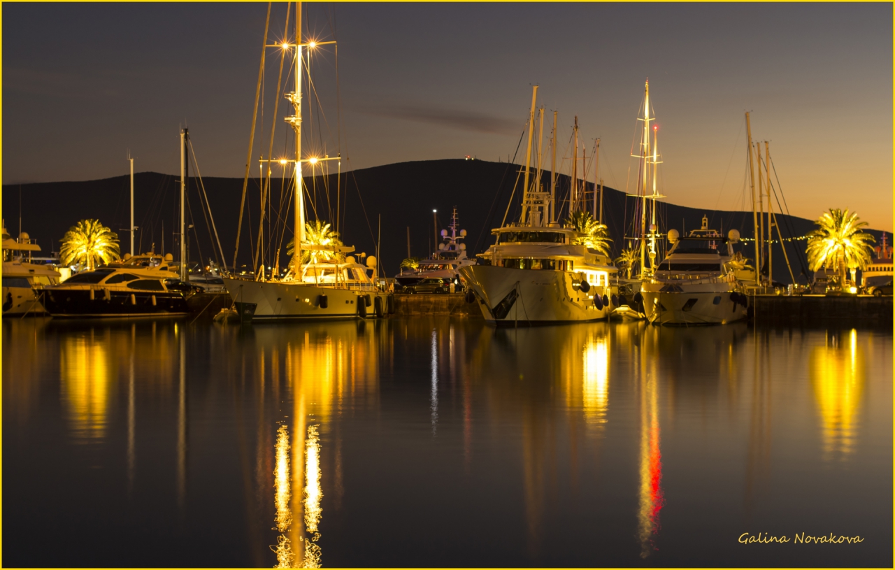 Port of Montenegro