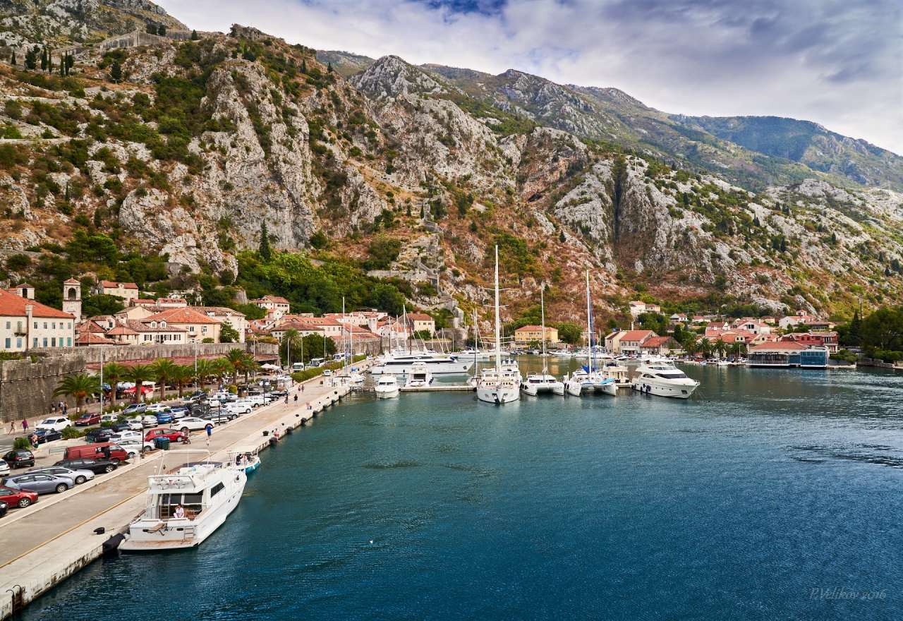 Port of Kotor