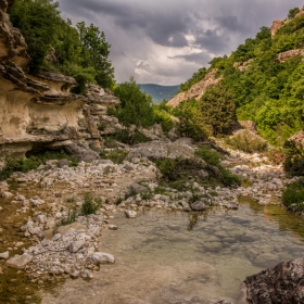 По пътя за каменната гора!