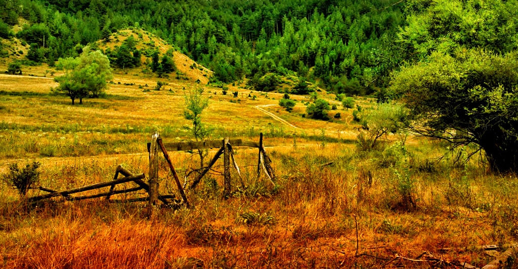 В околностите на Елешница