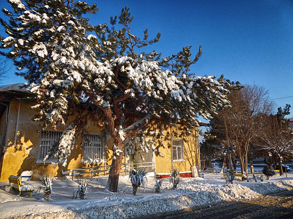 Снежно