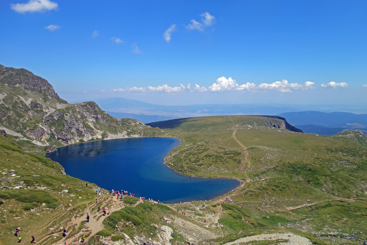 Бъбрека