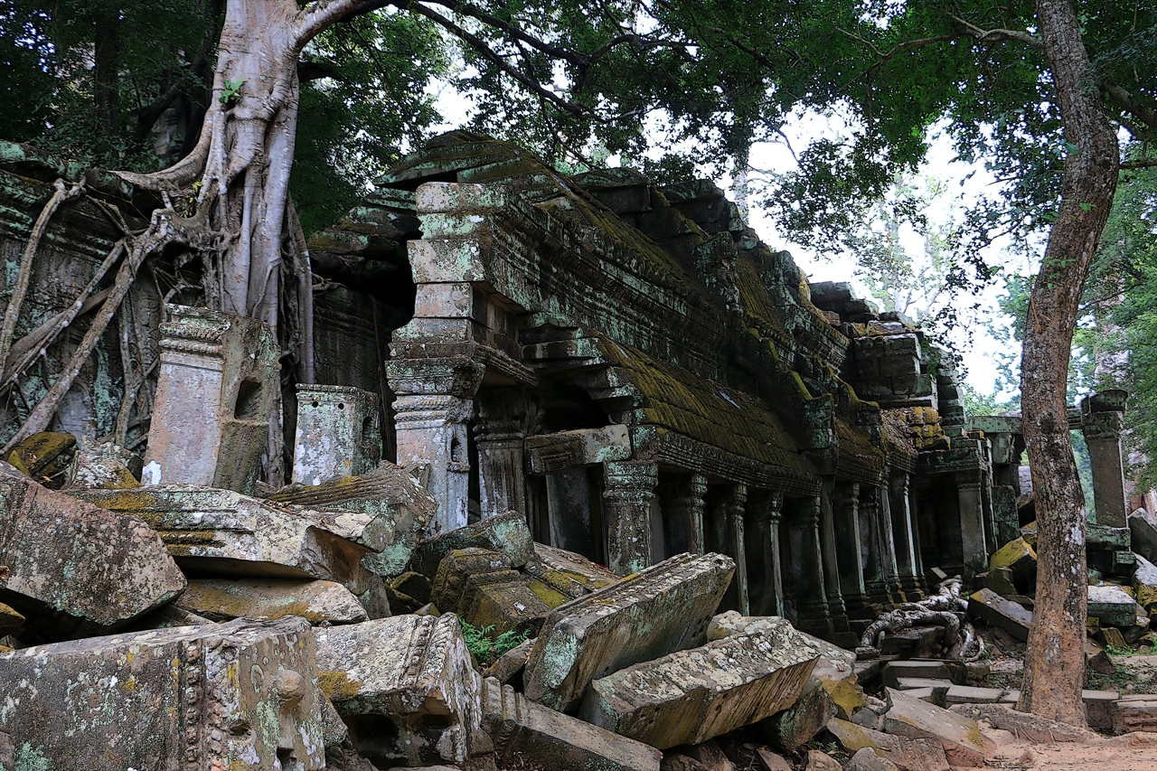 Ta Prohm