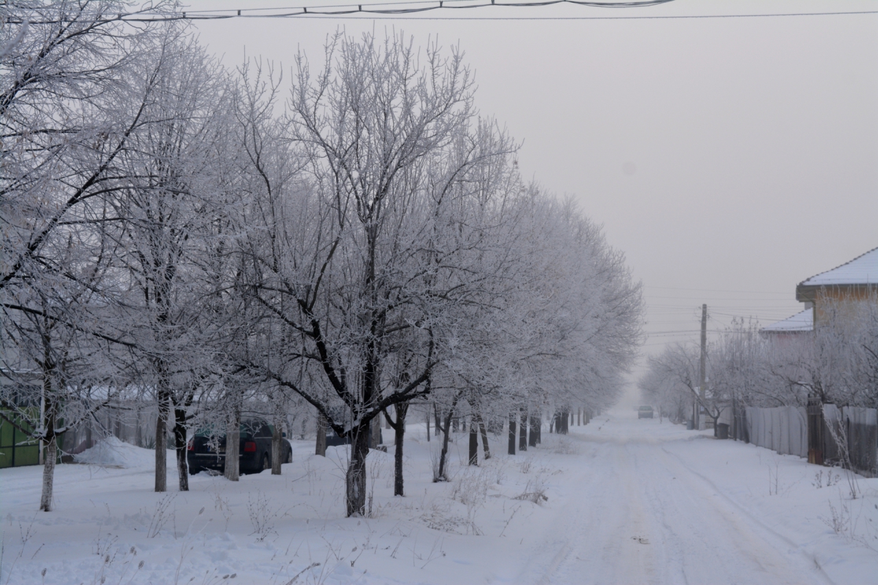 Бялата улица