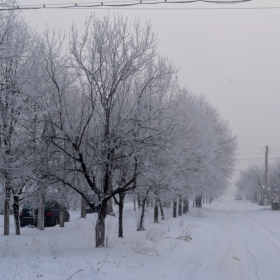 Бялата улица