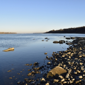 Дунавски води