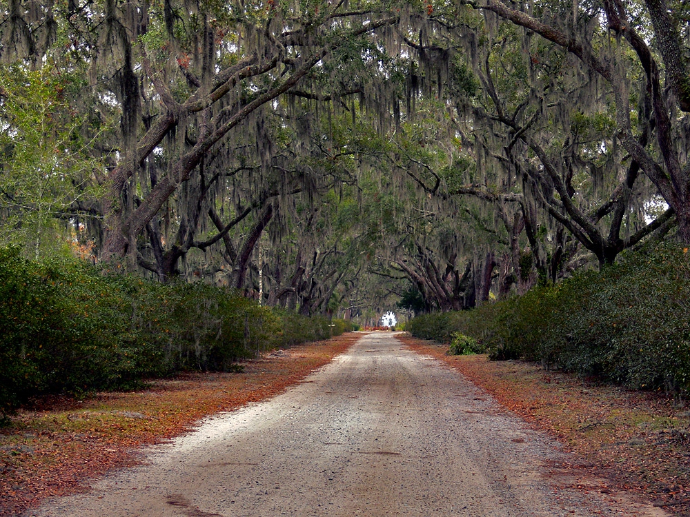 Bonaventure cemetary