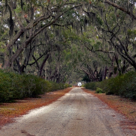 Bonaventure cemetary