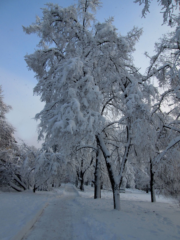 Времето на бялата приказка...