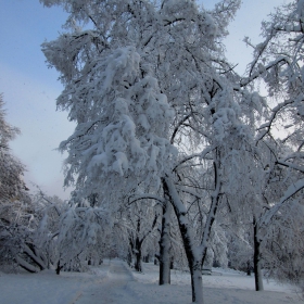 Времето на бялата приказка...