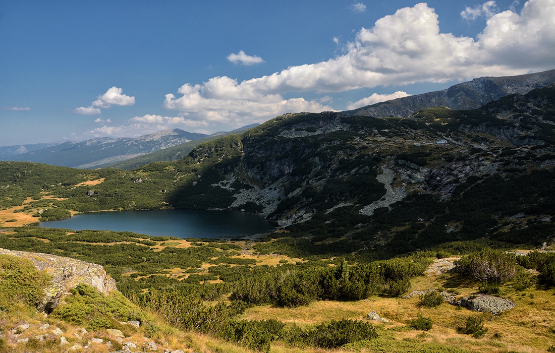 Сянката