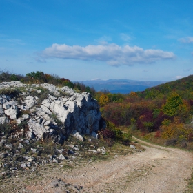 Пътеката