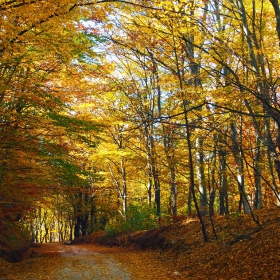 Есенна гора