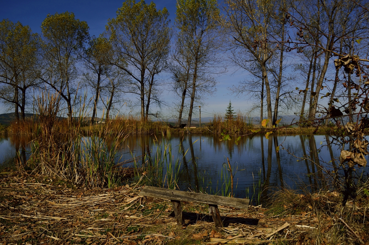 Край водата ...