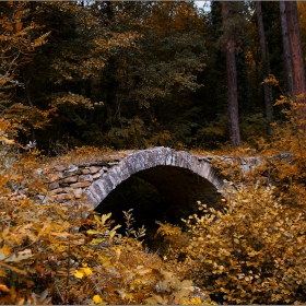 Сред есенния лес...сгушена древност