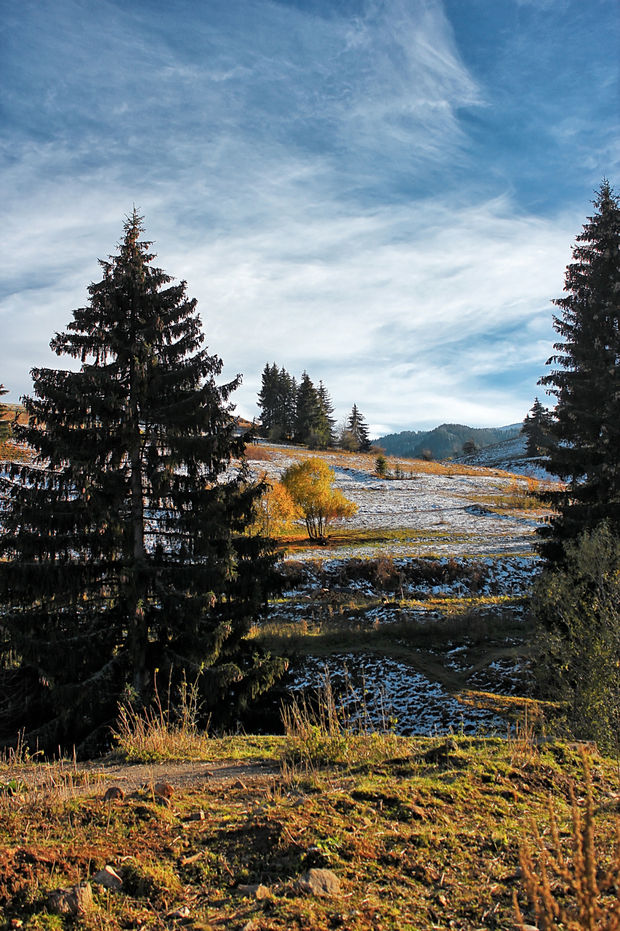 Село Гела