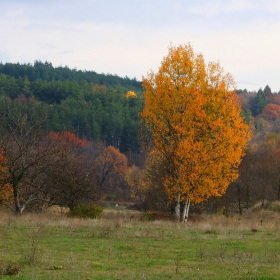 Есенни багри