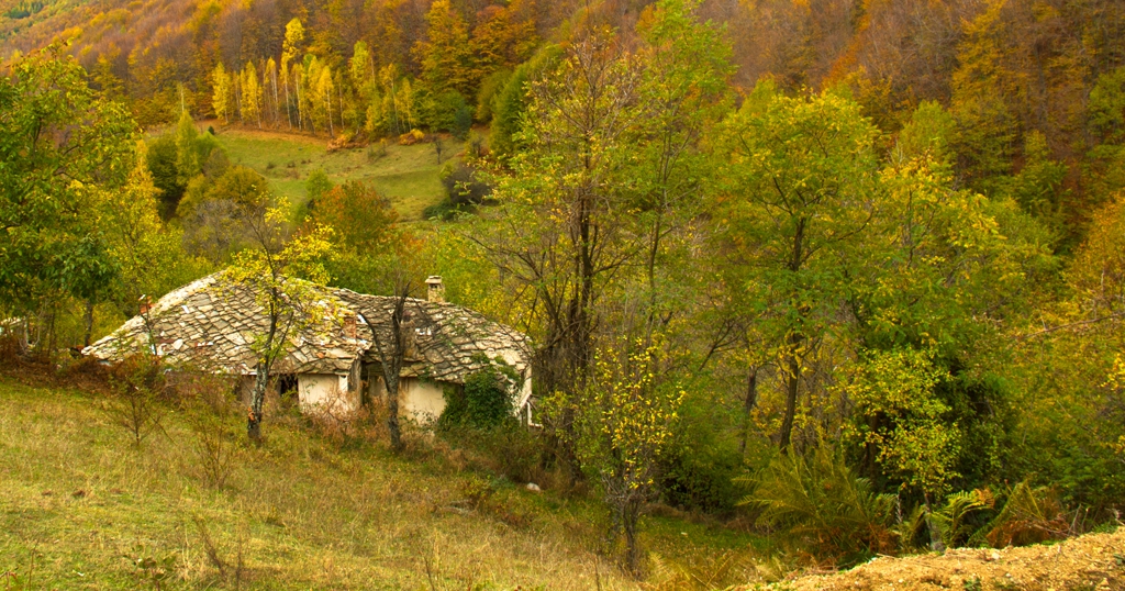 Родопи