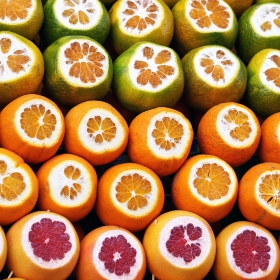 Vit C