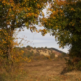 Есенно