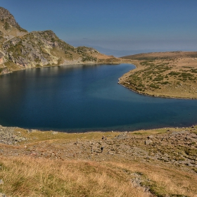Бъбрека