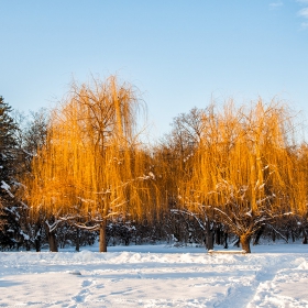 Пловдив