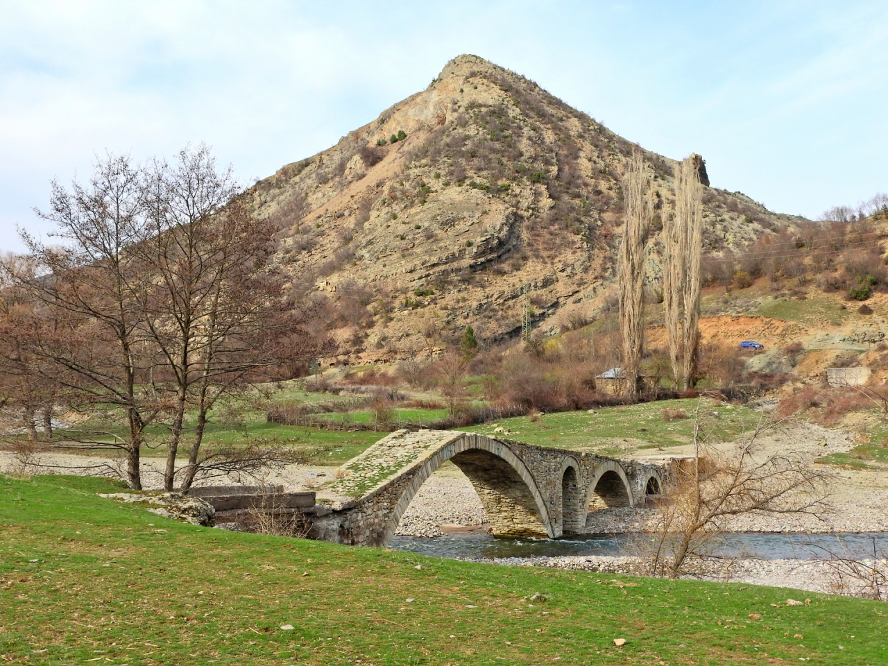 Боровица