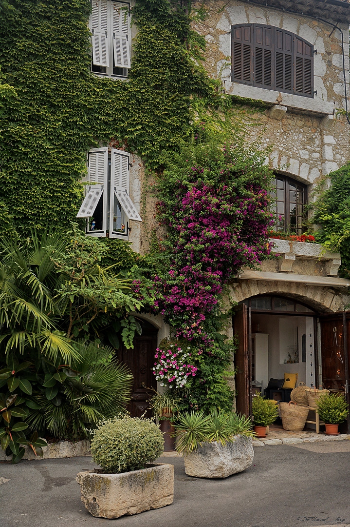 Раззеленено от Saint-Paul de Vence