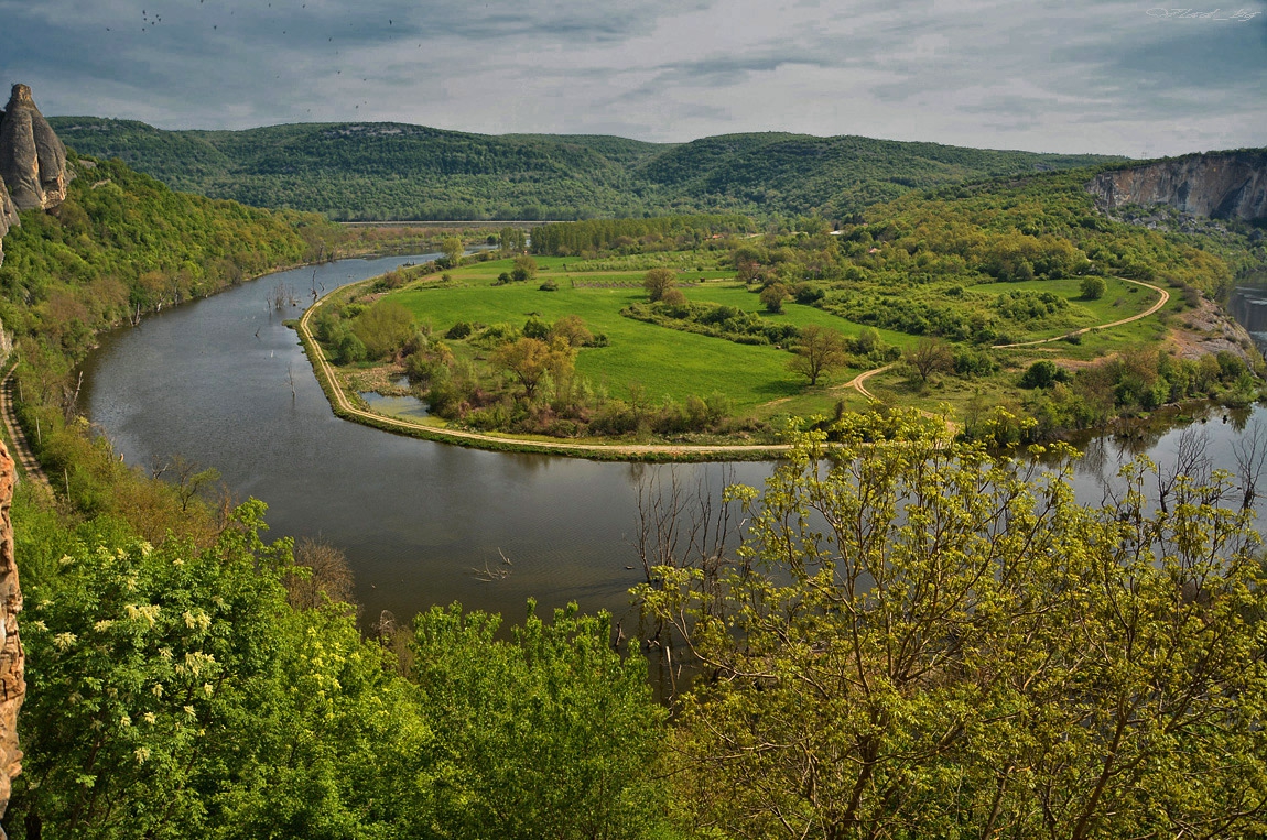 Кривина