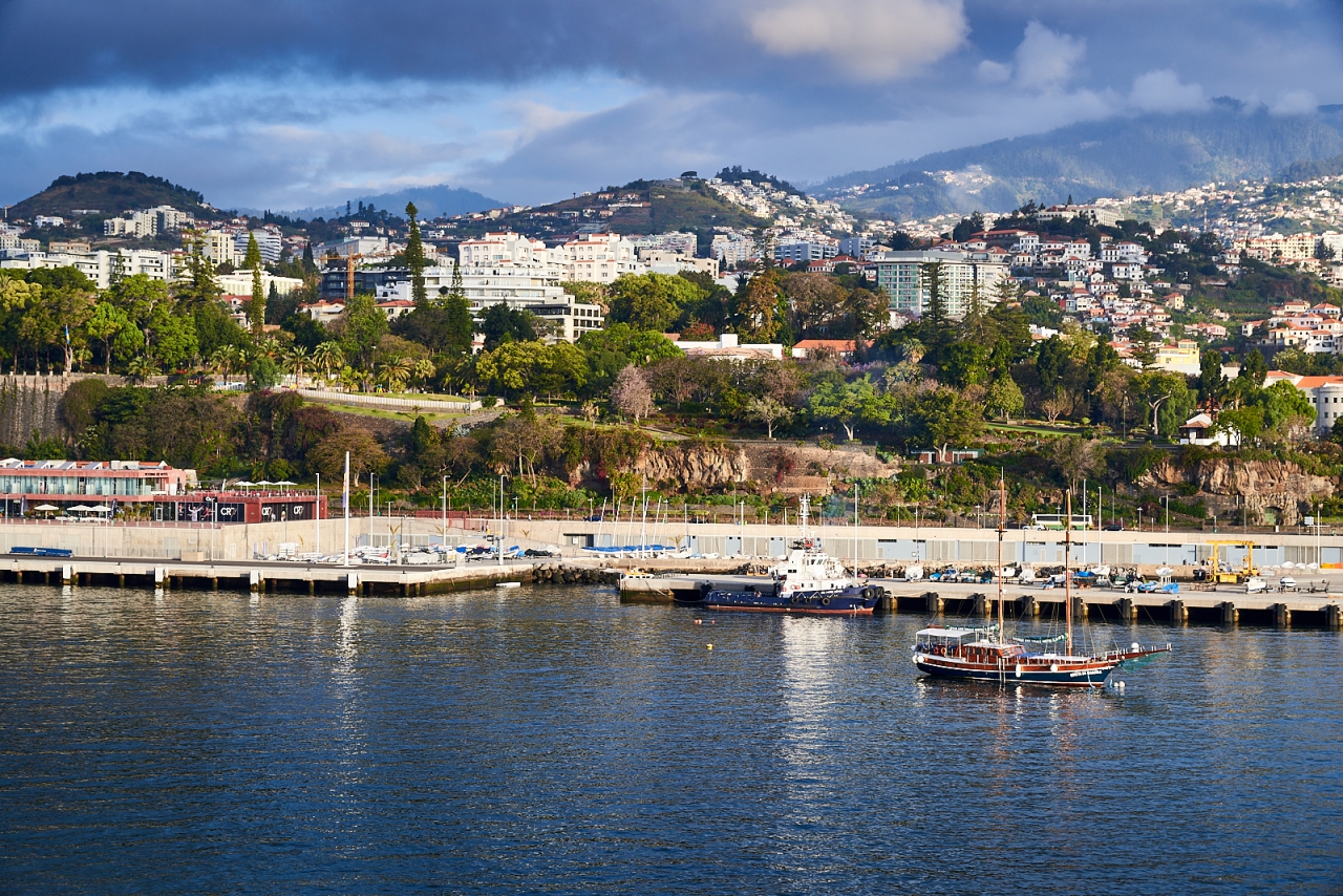 Funchal's morning