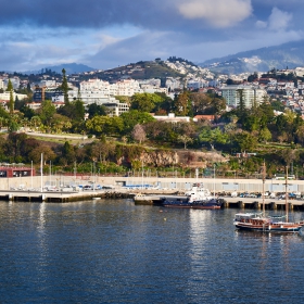 Funchal's morning