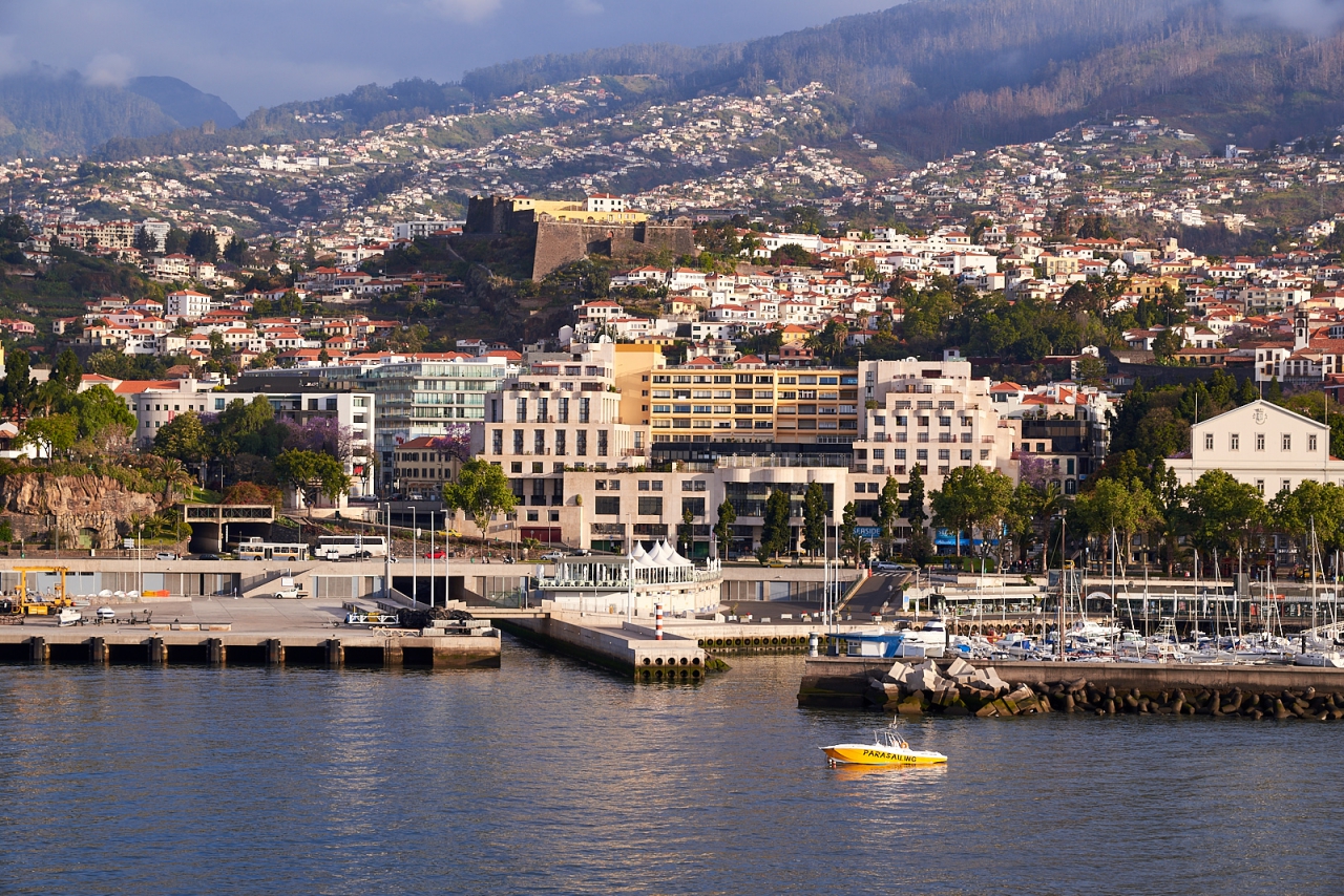 Funchal's morning 2