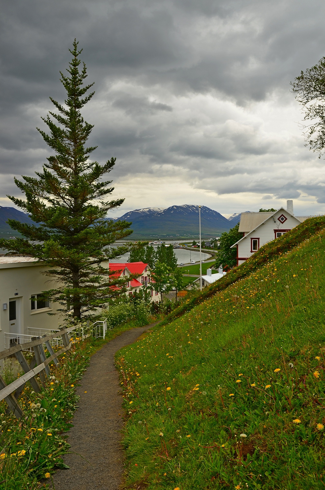 Iceland cityscape