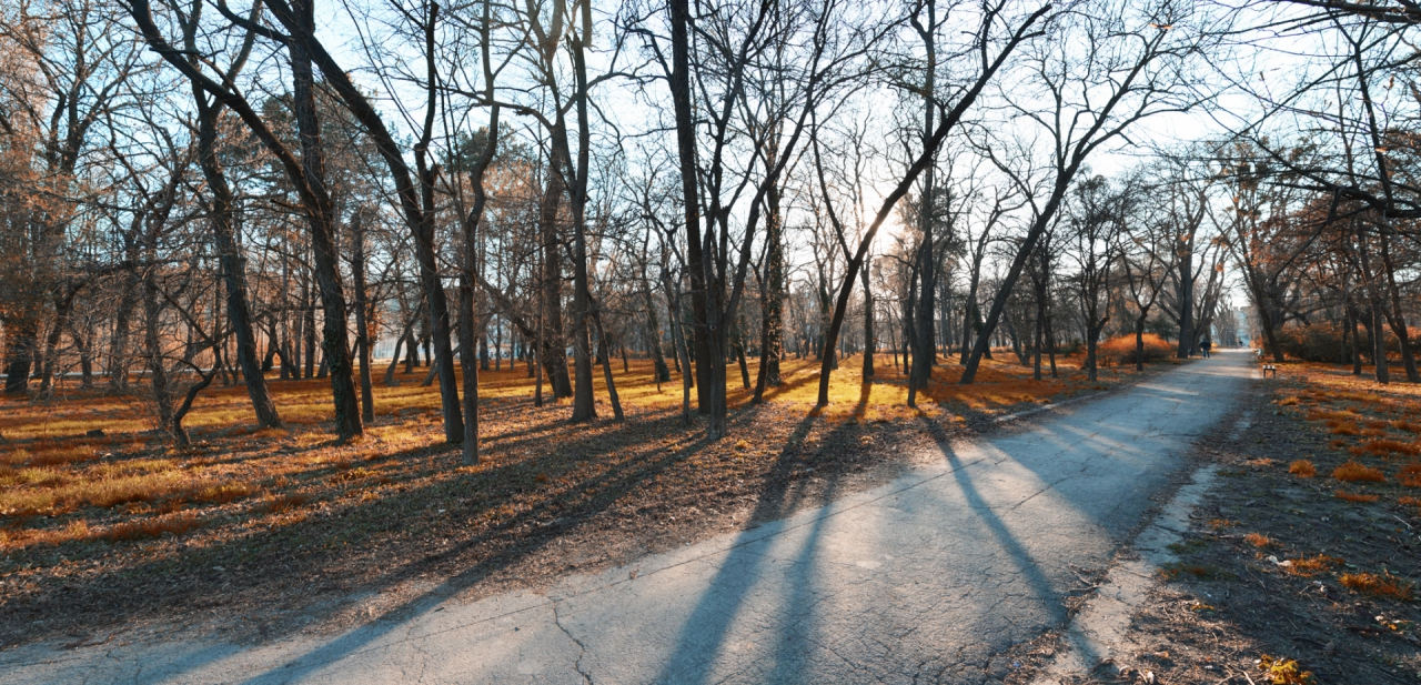 есенно