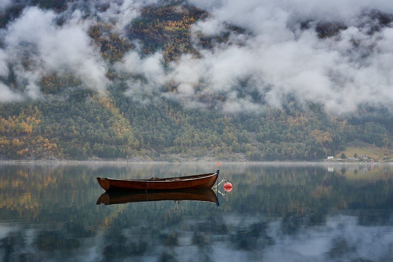 Lonely in the morning fog...