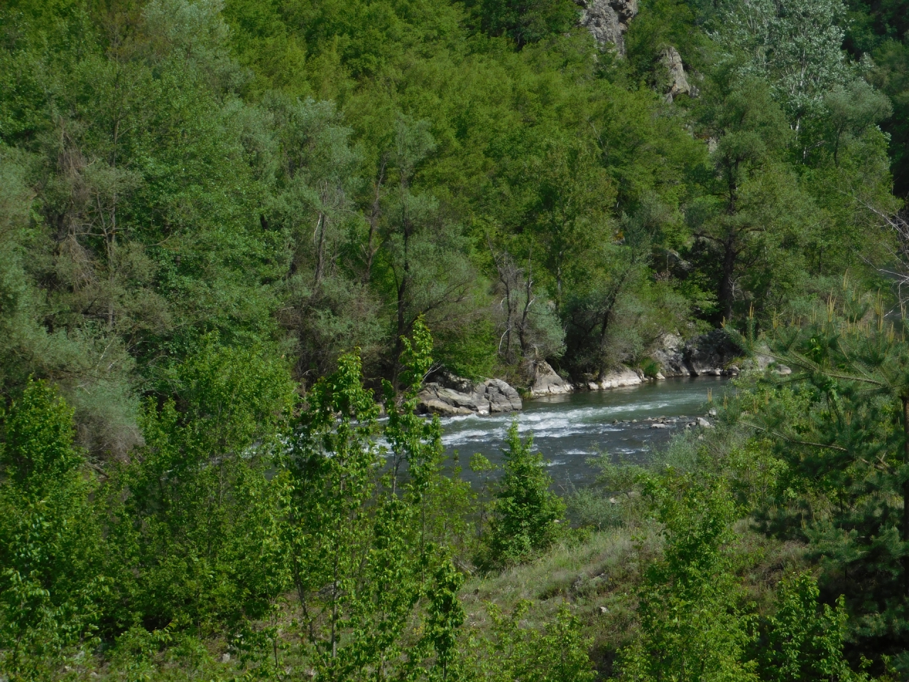 Реката