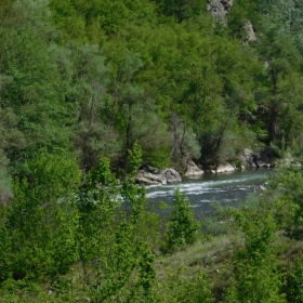 Реката