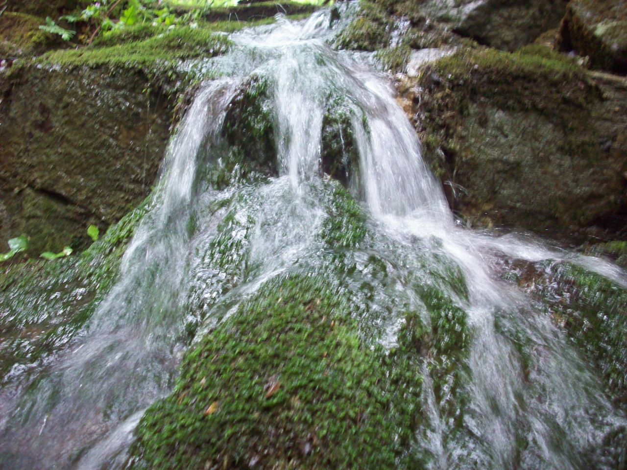 Пред водата